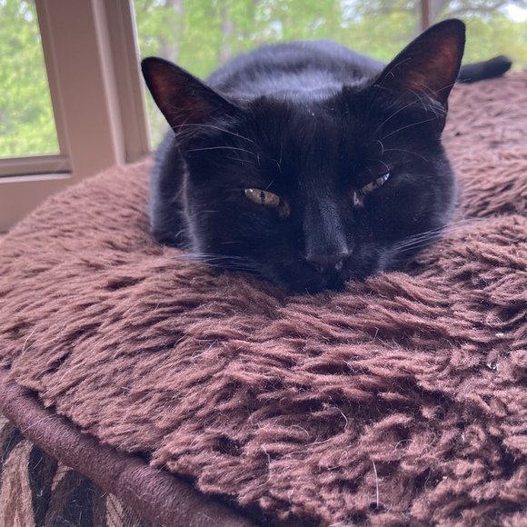 Meet your Posher, J - Picture 1 of 1